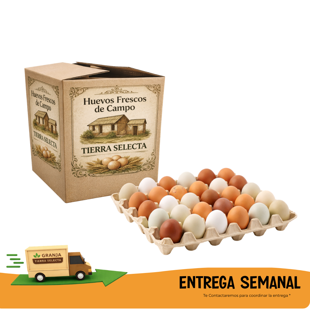 Huevos de Campo 30 UNIDADES- SUSCRIPCION SEMANAL HUEVOS MIX DE CAMPO