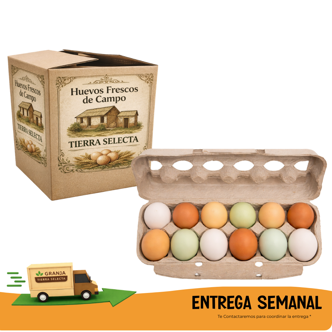 Huevos de Campo  12 UNIDADES- SUSCRIPCION SEMANAL MIX