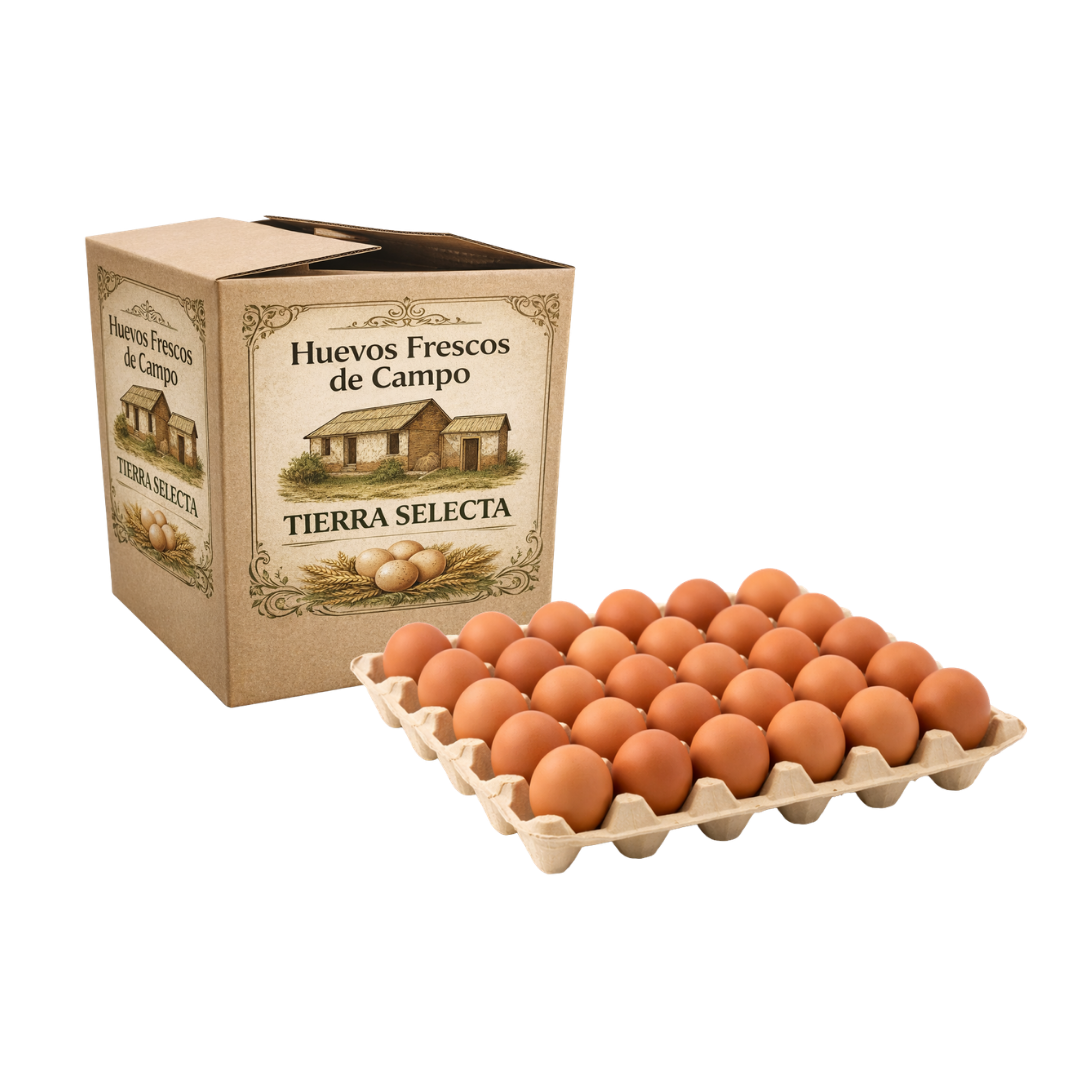 Bandeja de Huevos PRIMERA