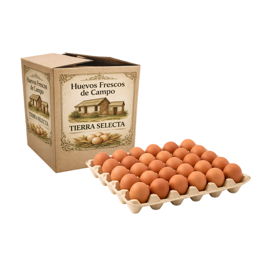 Bandeja de Huevos Extra
