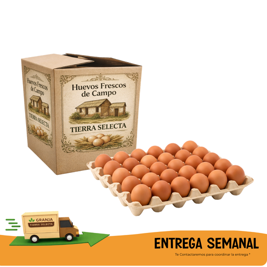 Huevos de Campo  30 UNIDADES- SUSCRIPCION SEMANAL COLOR
